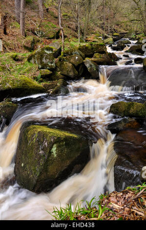 Fließendes Wasser in Padley Gorge im Peak District, Derbyshire. Stockfoto