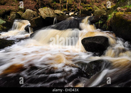 Fließendes Wasser in Padley Gorge im Peak District, Derbyshire. Stockfoto