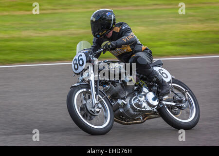 Beau Beaton auf 1950 Vincent Rapide. Barry Sheene Memorial Trophy Rennen. 2014 Goodwood Revival, Sussex, UK Stockfoto