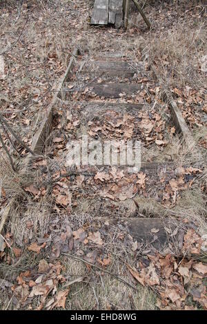 alte Holzleiter verstecken unter Vorjahr Rasen und Laub Weg zum Wasser Stockfoto