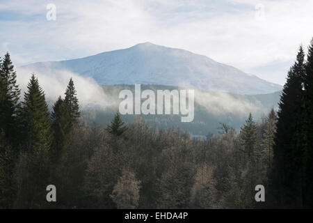 Schiehallion Berg & Wald im winter Stockfoto