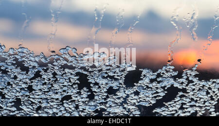 Eis schmilzt bei einem Fenster in der Abendsonne. Stockfoto