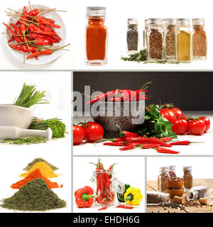 Flaschen von bunten Gewürzen mit grau Stockfoto