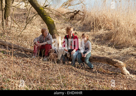 Familie sitzt auf einem Baum gefällt durch ein Biber in der Nähe von Sandkrug, Schnakenbek, Schleswig-Holstein, Deutschland Stockfoto