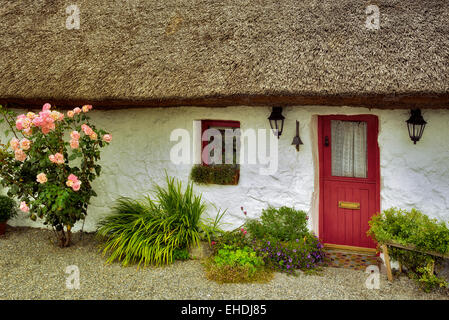 Irische Ferienhaus mit Reetdach. Oughterard, Irland Stockfoto