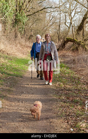 älteres Ehepaar und ihr Hund bei einem Spaziergang an der Elbe am Fluss in der Nähe von Sandkrug, Schnakenbek, Schleswig-Holstein, Deutschland Stockfoto