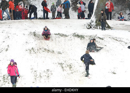 Menschen in Cherry Hill Park in Ely nach starkem Schneefall Rodeln Stockfoto