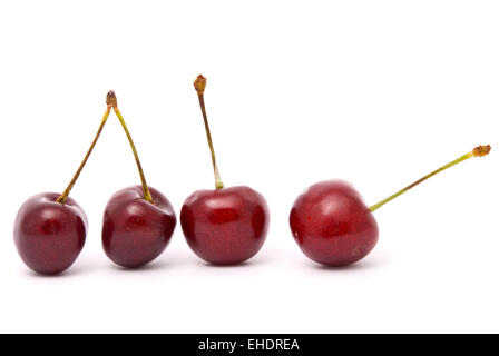 Fife rote Kirschen auf weißem Hintergrund Stockfoto