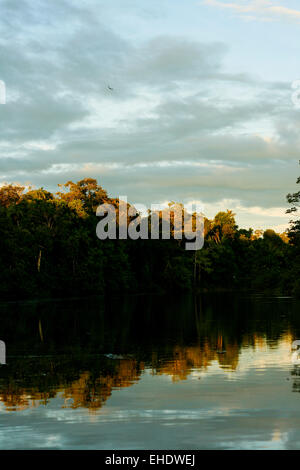 Rio Yavari. Amazonas, Peru Stockfoto