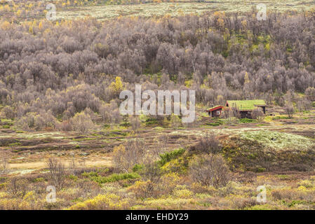 Typische norwegische Kabine mit Rasen Dach in Rondane Nationalpark, Norwegen Stockfoto