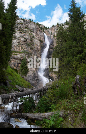 Wasserfall im Bergwald Stockfoto