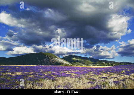 Landschaft in der Nähe von St. Jurs, Provene, Frankreich Stockfoto