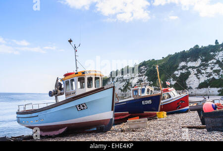 Bunte Fischerboote geschleppt, bis auf dem steinigen Strand in Bier, Devon, an der Jurassic Coast, south-west England Stockfoto