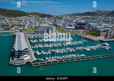 Chaffers Marina, und Clyde Quay Wharf Luxusappartements, Wellington Harbour, Wellington, Nordinsel, Neuseeland - Antenne Stockfoto