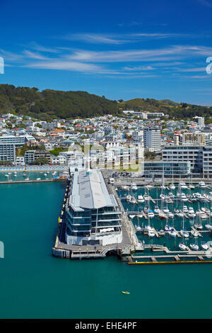 Chaffers Marina, und Clyde Quay Wharf Luxusappartements, Wellington Harbour, Wellington, Nordinsel, Neuseeland - Antenne Stockfoto