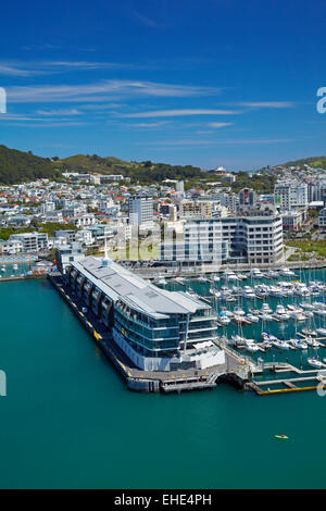 Chaffers Marina, und Clyde Quay Wharf Luxusappartements, Wellington Harbour, Wellington, Nordinsel, Neuseeland - Antenne Stockfoto