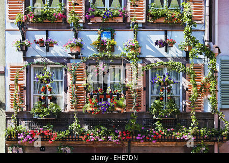 in der Altstadt von Colmar, Elsass, Frankreich Stockfoto