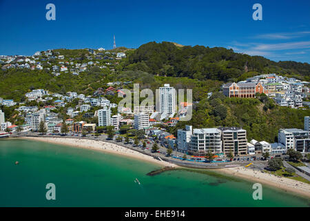 Oriental Bay, und Mt Victoria, Wellington, Nordinsel, Neuseeland - Antenne Stockfoto