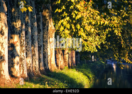 Kanal Avenue, Dordogne, Aquitaine, Frankreich Stockfoto