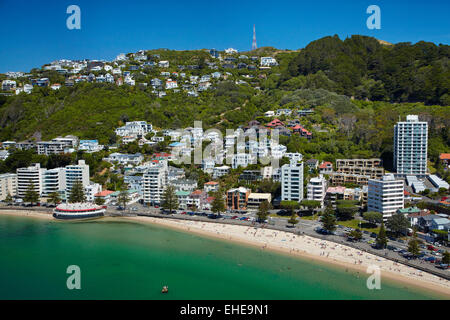 Oriental Bay, und Mt Victoria, Wellington, Nordinsel, Neuseeland - Antenne Stockfoto