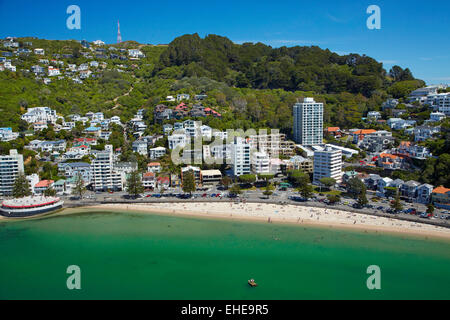 Oriental Bay, und Mt Victoria, Wellington, Nordinsel, Neuseeland - Antenne Stockfoto