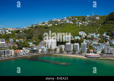 Oriental Bay, und Mt Victoria, Wellington, Nordinsel, Neuseeland - Antenne Stockfoto