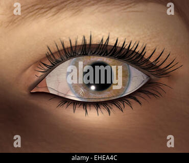 Auge Stockfoto