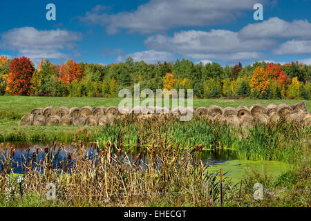 Herbst im nördlichen Wisconsin Stockfoto