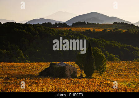 Blick auf Mt. Ventoux, Provence, Frankreich Stockfoto