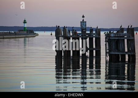 Leuchtturm Sassnitz, Insel Rügen, Deutschland Stockfoto