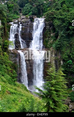 Ramboda Wasserfall SriLanka Stockfoto