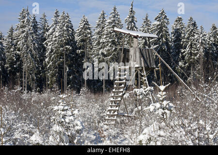 Reh stand Stockfoto