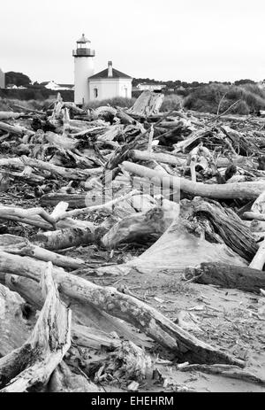 Treibholz sammelt hoch am Strand bei Ebbe hoch angesehen Stockfoto