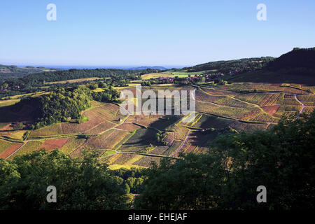 Jura-Weinberge in der Nähe von Chateau Chalon, Frankreich Stockfoto