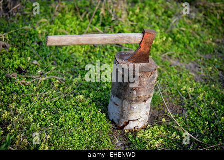 Axt stecken in einem Protokoll von Holz in natürlichem Licht Stockfoto