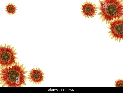 Rahmen, Blumen Stockfoto