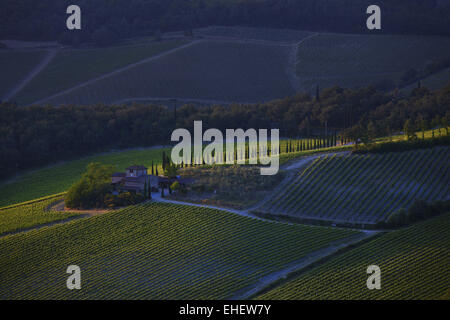 Weingut in der Nähe von Radda in Chianti, Toskana, Italien Stockfoto