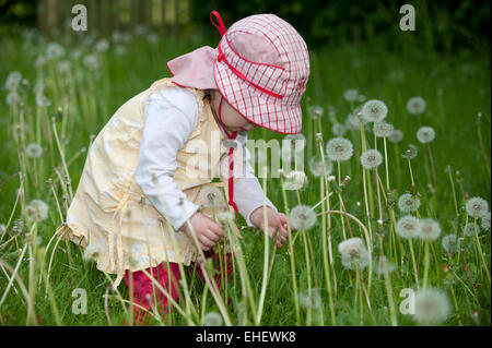 Mädchen mit blowballs Stockfoto