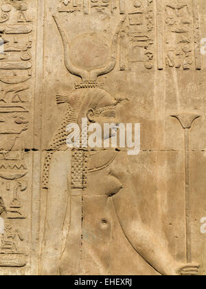 Reliefs am Tempel von Haroeris und Sobek in Kom Ombo im Niltal, Oberägypten Stockfoto