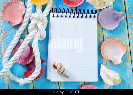 Hinweis und Meer shell Stockfoto