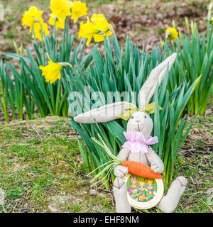 Osterhase versteckt in der Narzissen Stockfoto