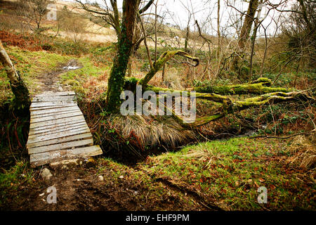 Eine hölzerne Brücke über einen Bach im Tipi Valley eine Öko-Community in der Nähe von Talley in Wales. Stockfoto