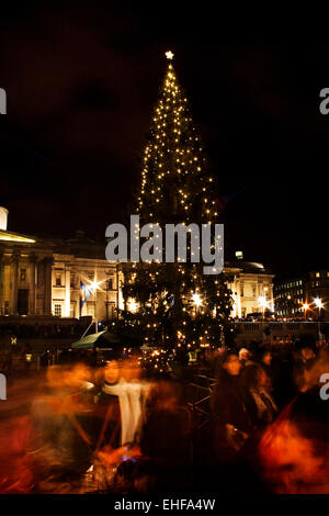 Der Weihnachtsbaum in Trafalgar Square in London. Stockfoto