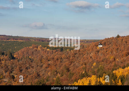 Blick über das selketal Stockfoto