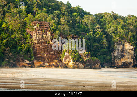 Cliff und Regenwald in Sand Strand Stockfoto