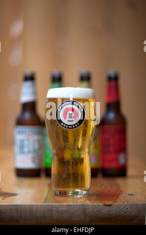 Ein Pint Lager in Camden Town Brewery London Stockfoto