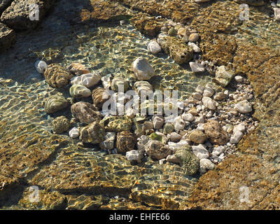 kleine klare Meer See am Stein Strand Stockfoto