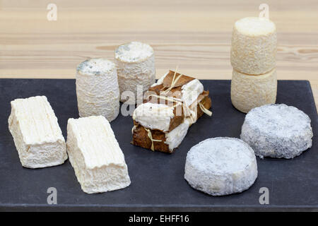 Auswahl an Käse am Mons Käsehändler London Stockfoto