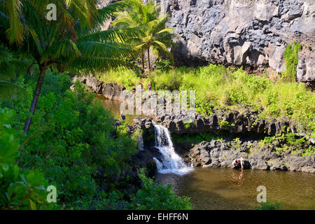 Ohe Gulch im Haleakala National Park, Maui, Hawaii, USA Stockfoto