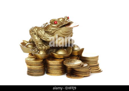 Feng Shui Frosch sitzt auf Geld. Stockfoto